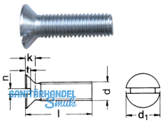 Senkschraube verzinkt DIN 963/A M  6 x 16