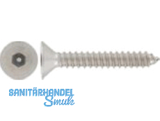 Senkblechschraube A2 mit Innensechskant und Sicherheitspin 4,8 x 50  Nr. 133237