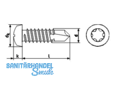 Bohrschraube Linsenkopf A2 Torx 15 DIN 7504-MT  3,9 x 16