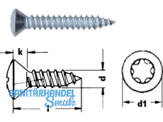 Blechschraube Linsensenkkopf A2 Torx 25 DIN 7983 5,5 x 19