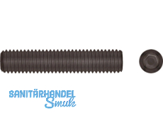 Gewindestift Innensechskant und Ringschneide DIN 916  M  2.5 x 10