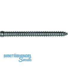 Rahmenanker 7.5x112 Zylinderkopf 7.5 Torx30 verzinkt dbellose Verschraubung