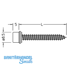 Blechtreibschrauben mit Dichtstck fr Grundprofil, 5,5 x 25 mm, Edelstahl