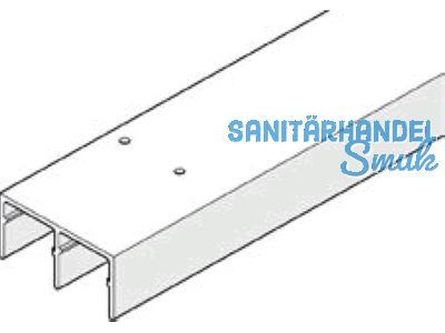 Fhrungsschiene Hawa Dorado 40/MS L = 6000 mm farblos eloxiert 10254