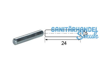 Bodentrger Pinn  5 mm Lnge = 24,0 mm verzinkt 4302.100