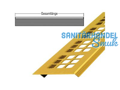 Lftungsprofil 60x2000 mm mit Quadratlochung gold eloxiert