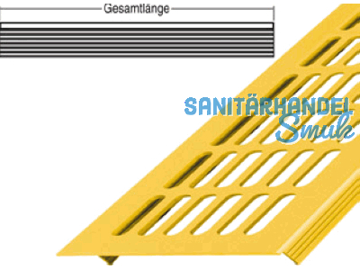 Lftungsprofil 100x6000 mm mit Schlitzlochung gold eloxiert