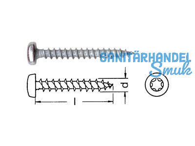 Spanplattenschraube A2 Pan Head TX 20 4,0 x 50