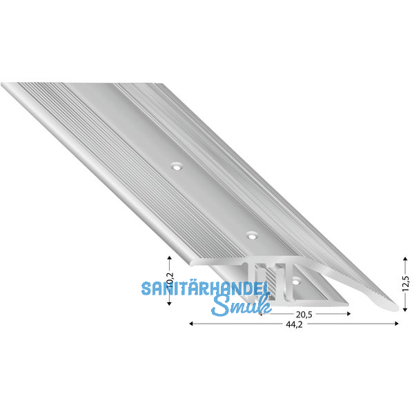 Schrgprofil 2700 silber eloxiert