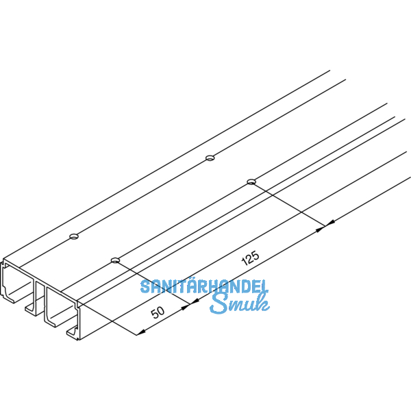 EKU DIVIDO 100 Doppellaufschiene gelocht, Lnge 2500 mm, Aluminium eloxiert