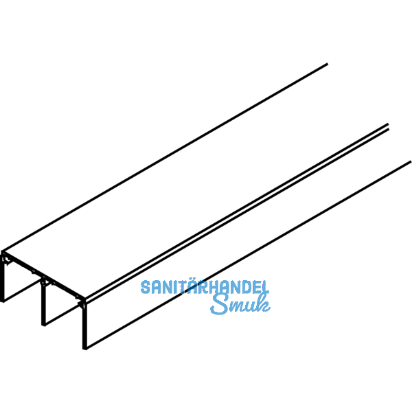 EKU DIVIDO 80 Doppelfhrungsschiene, Lnge 2500 mm, Aluminium eloxiert