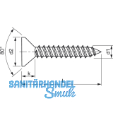 DIN7982C 4.2x 38 Torx20 Edelstahl A2 Senkkopf-Blechschraube ~ISO14586